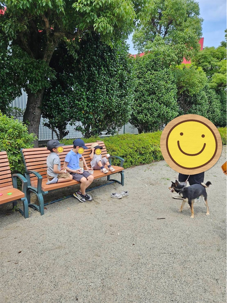 f:id:keikostyle:20240616152640j:image