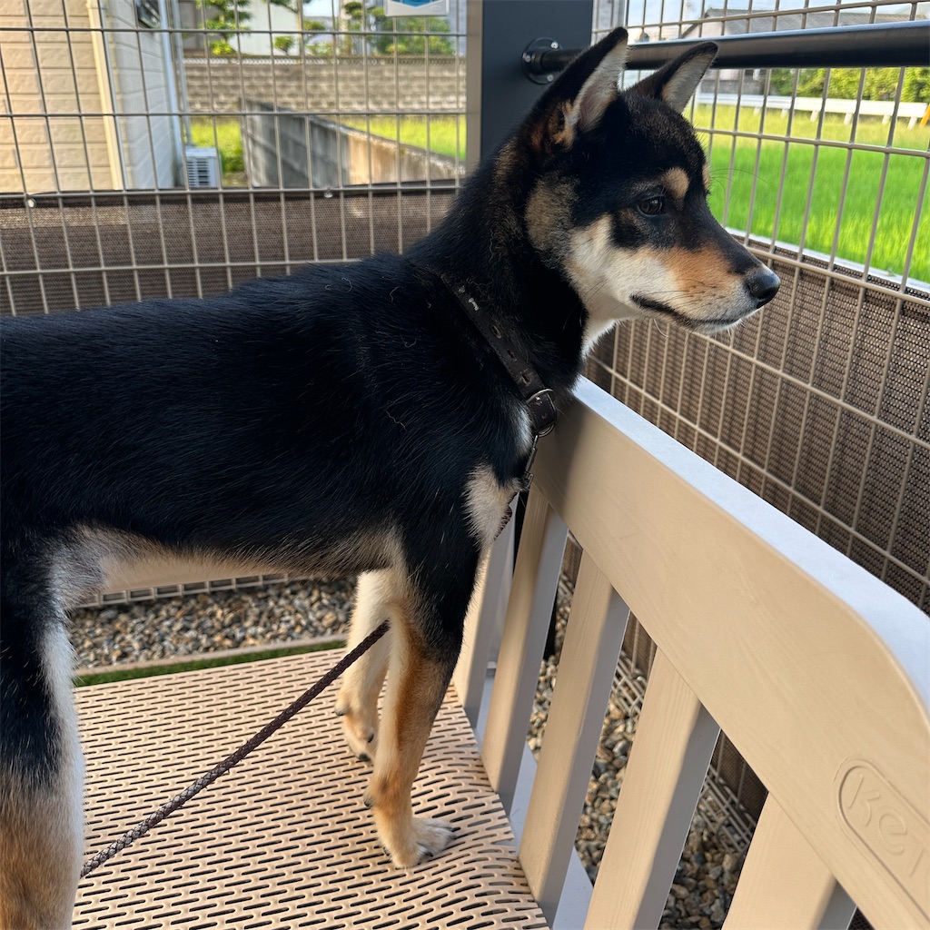 f:id:keikostyle:20240706093803j:image