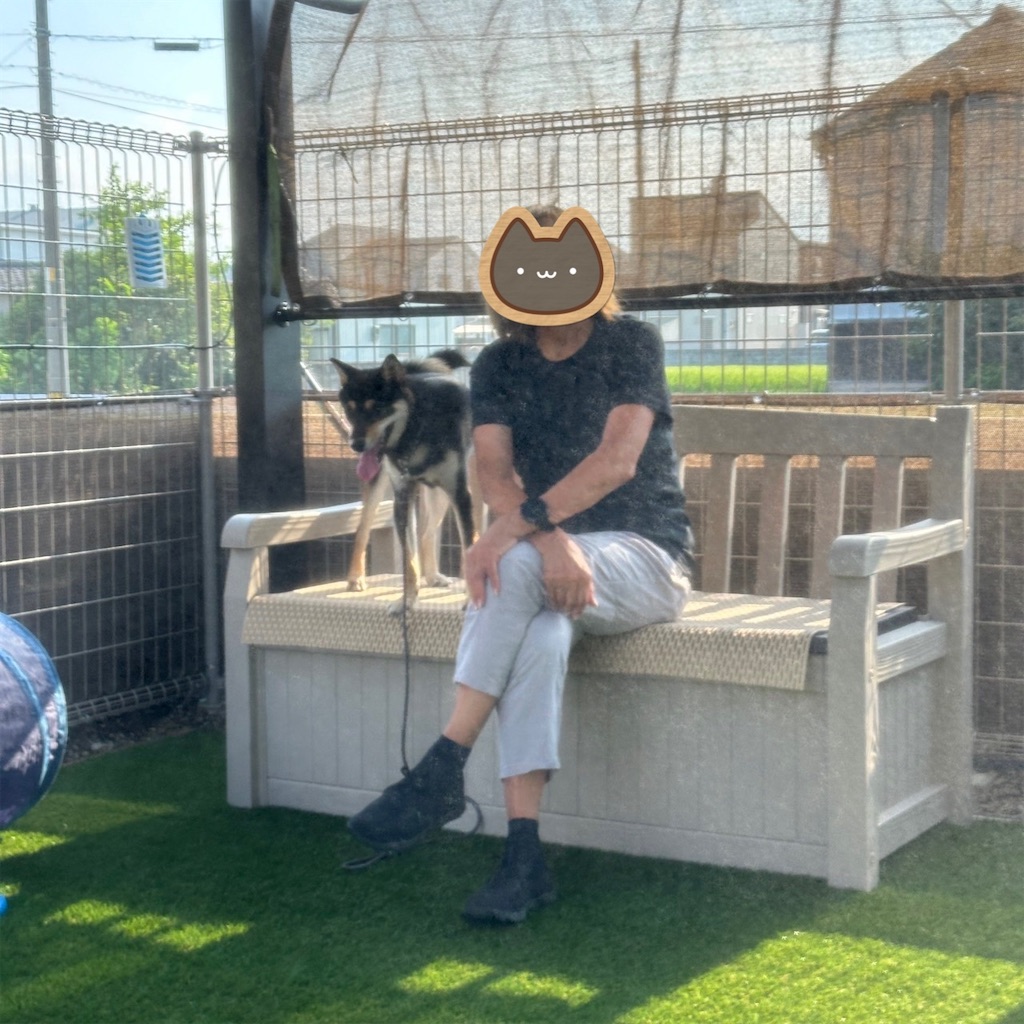 f:id:keikostyle:20240722051115j:image