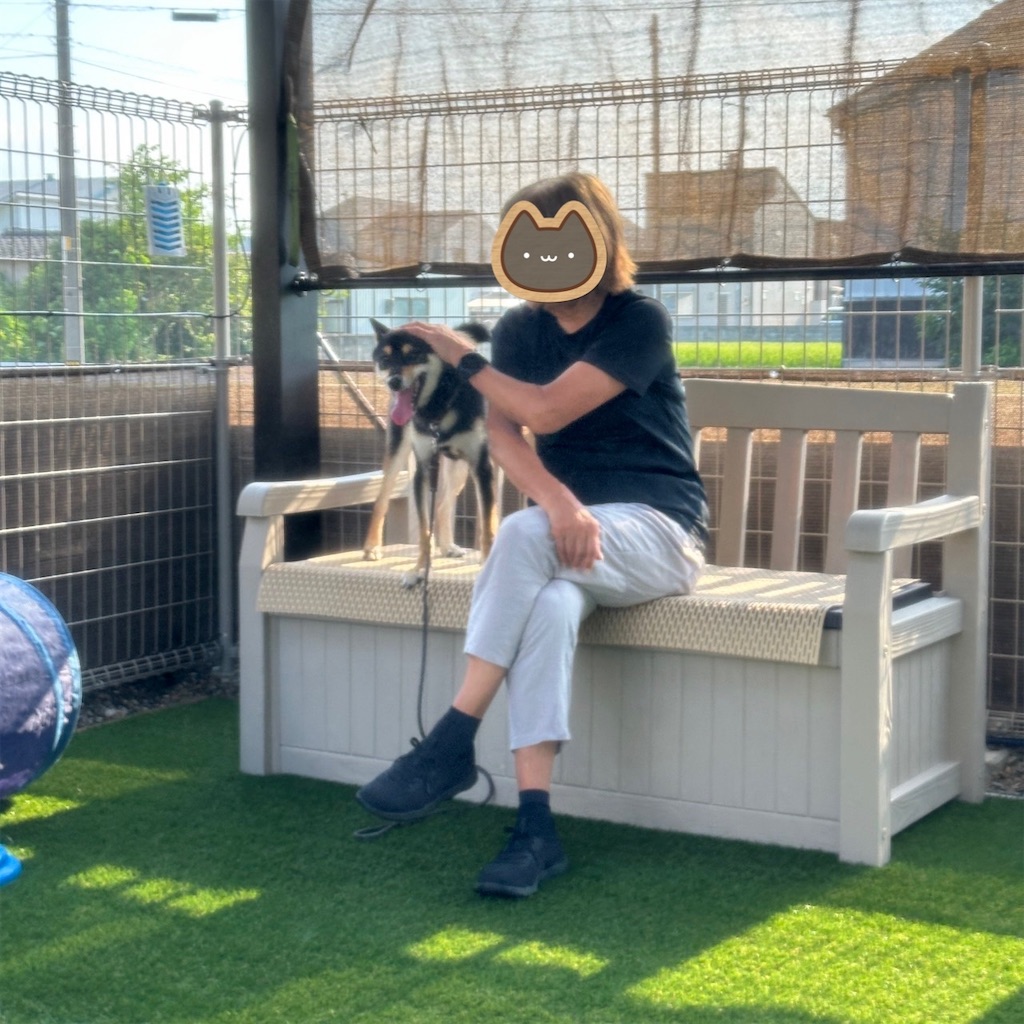 f:id:keikostyle:20240722051118j:image