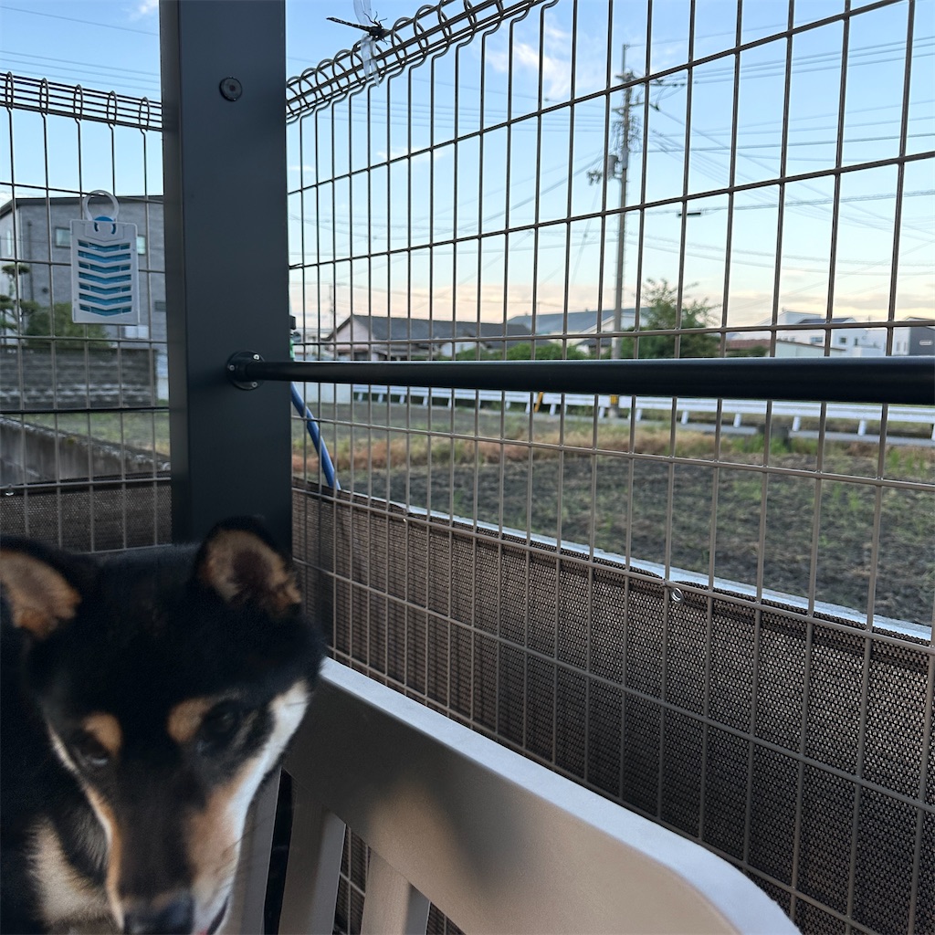 f:id:keikostyle:20240916134741j:image