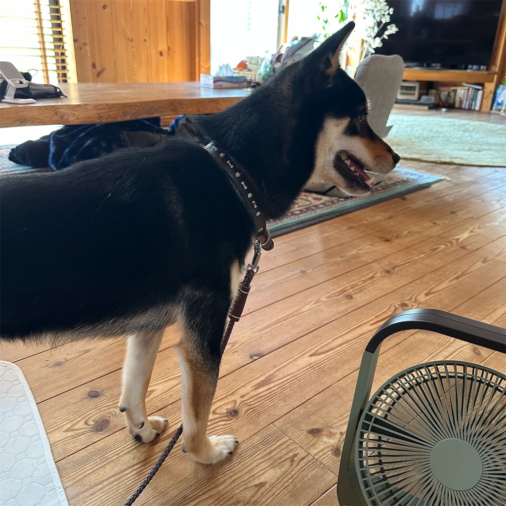 f:id:keikostyle:20240924132643j:image