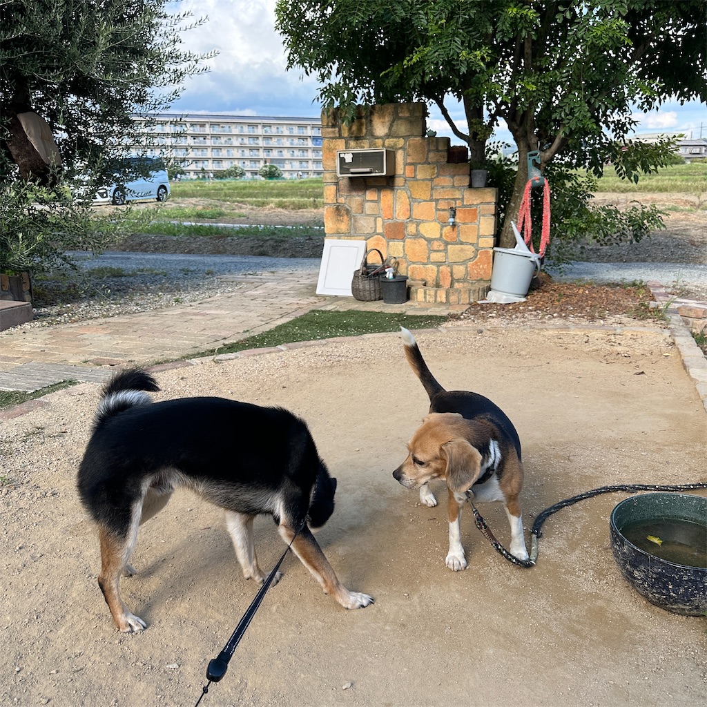 f:id:keikostyle:20240924171214j:image