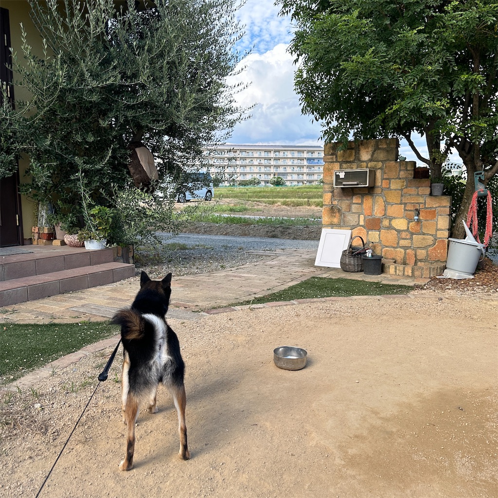 f:id:keikostyle:20240924171251j:image