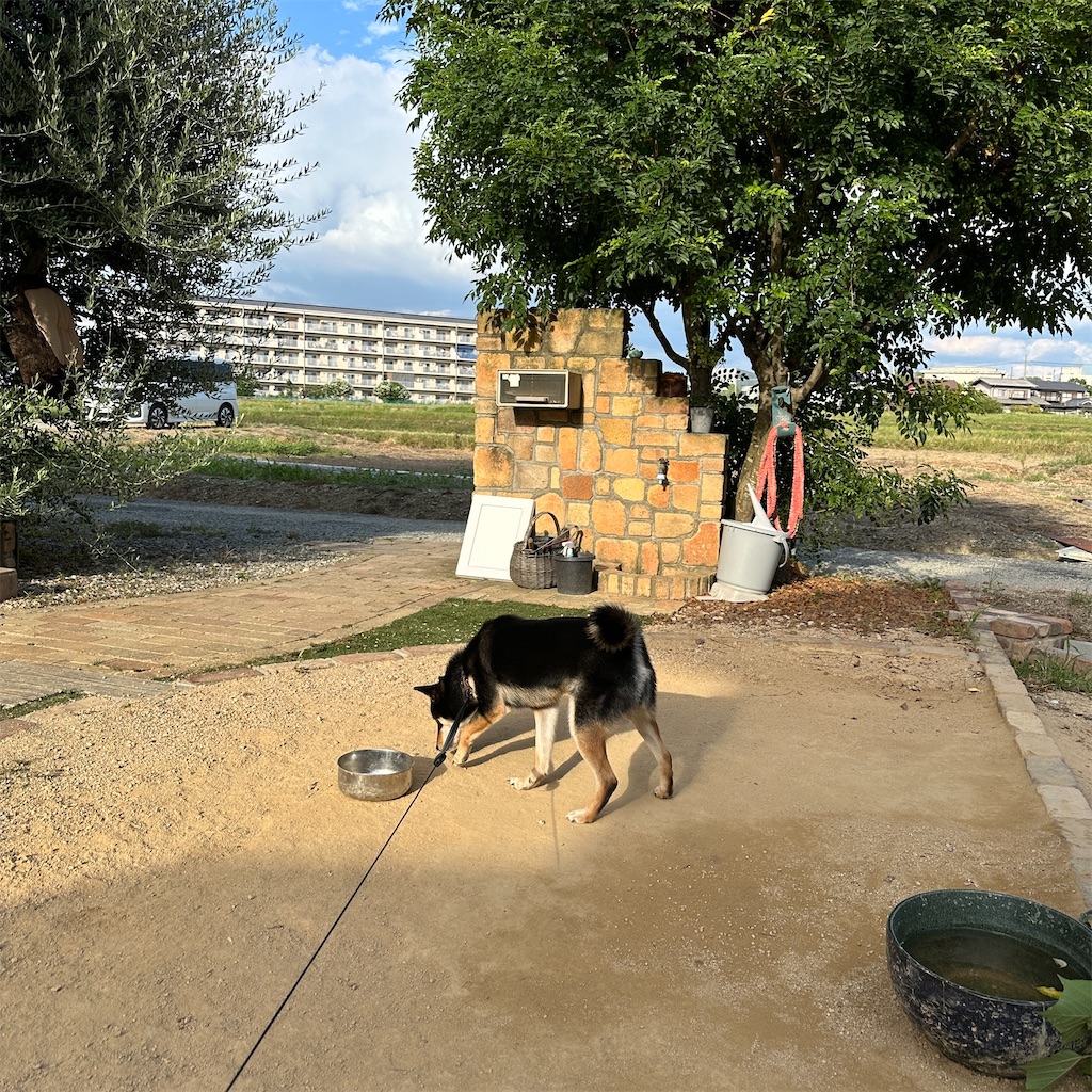 f:id:keikostyle:20240924171336j:image