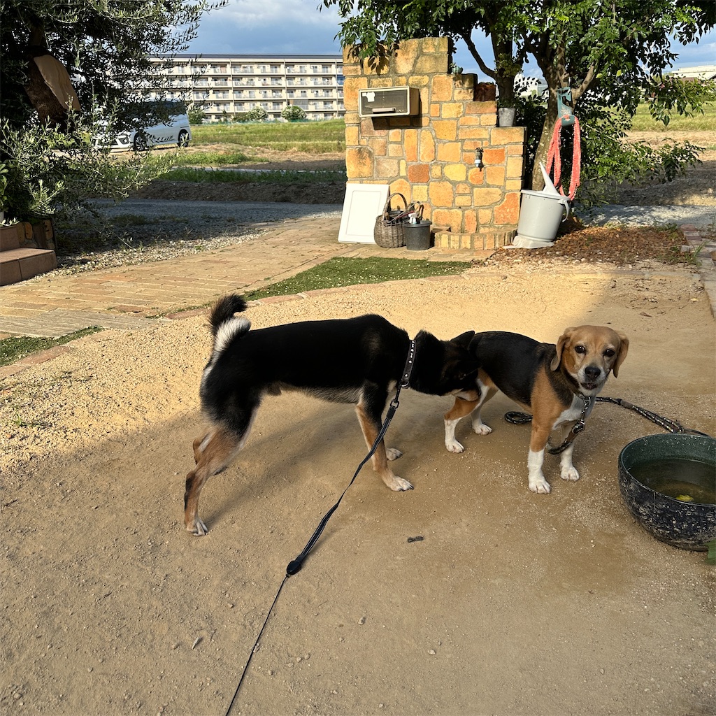 f:id:keikostyle:20240924171340j:image