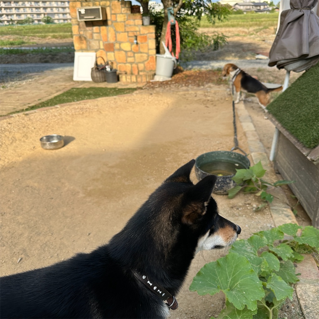 f:id:keikostyle:20240924171343j:image