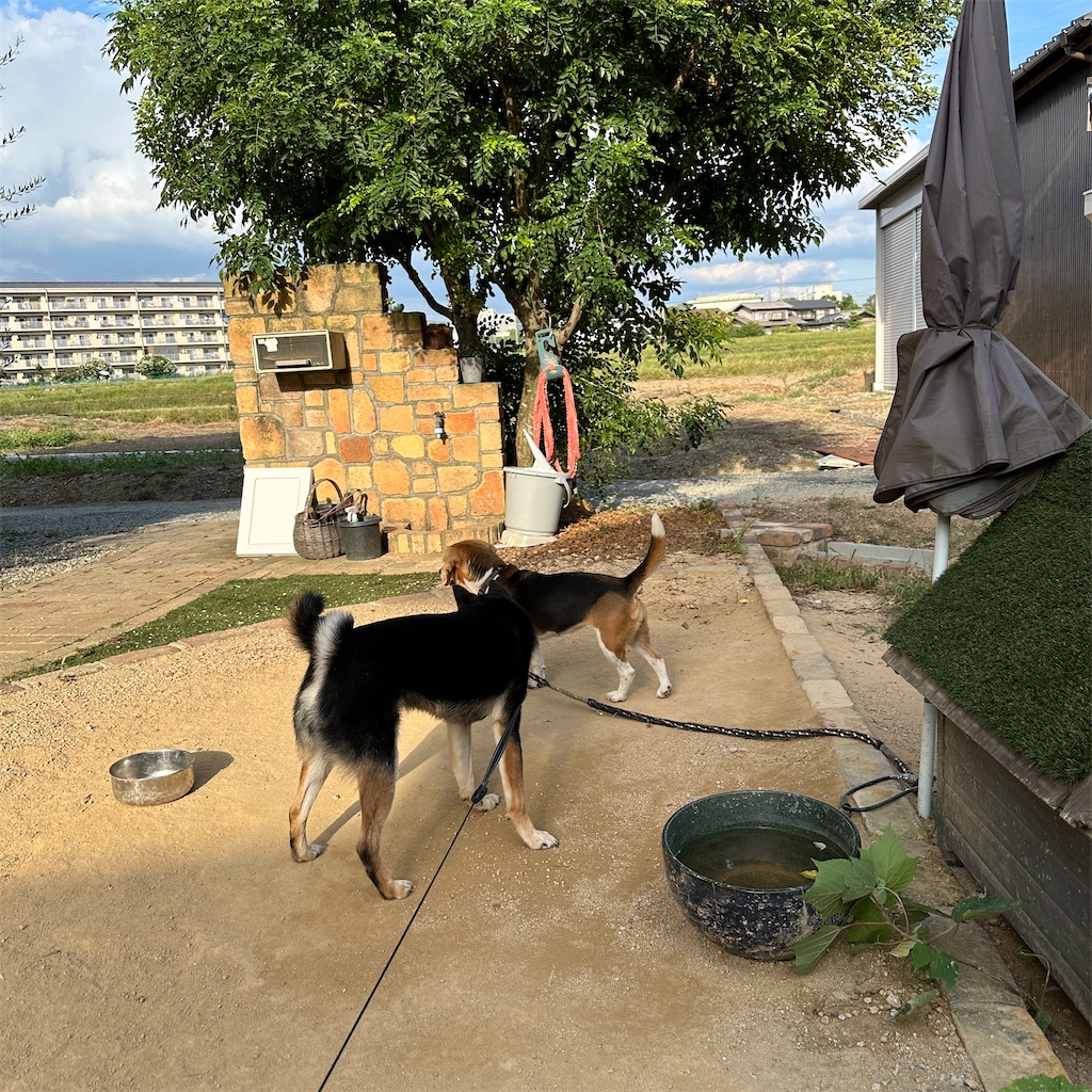 f:id:keikostyle:20240924171401j:image