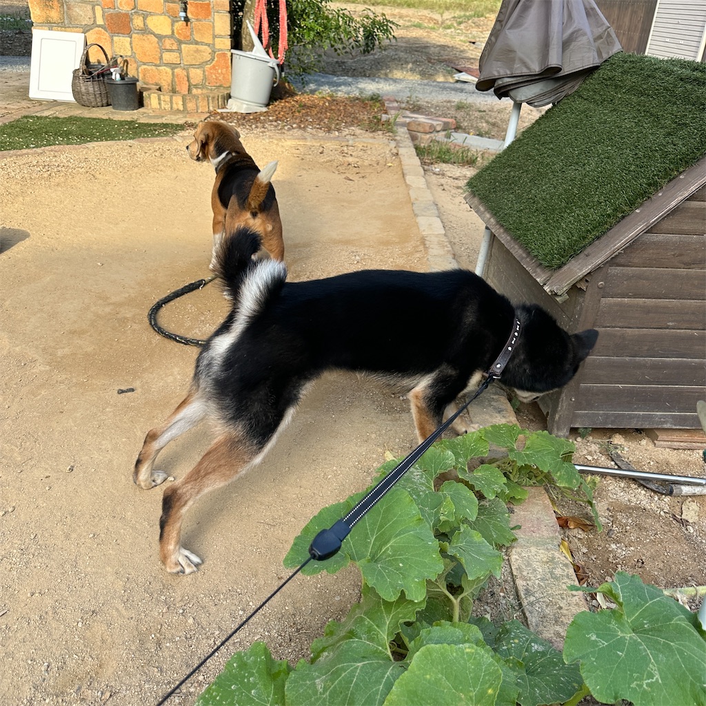 f:id:keikostyle:20240924171404j:image