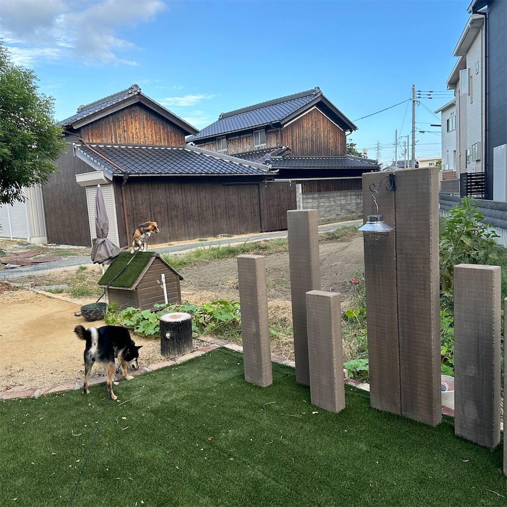 f:id:keikostyle:20240924171540j:image