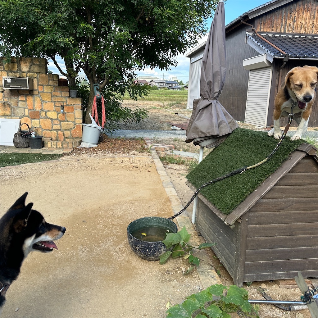 f:id:keikostyle:20240924171609j:image