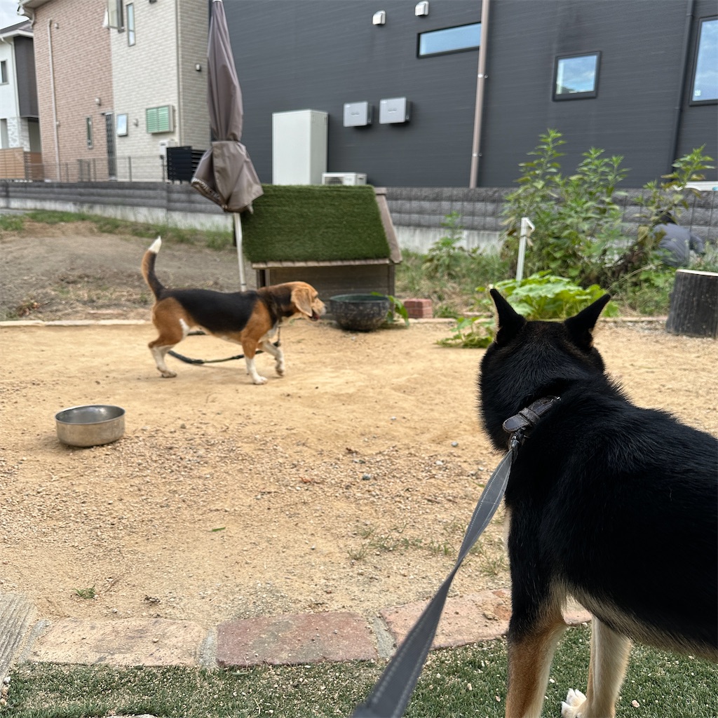 f:id:keikostyle:20240925172208j:image