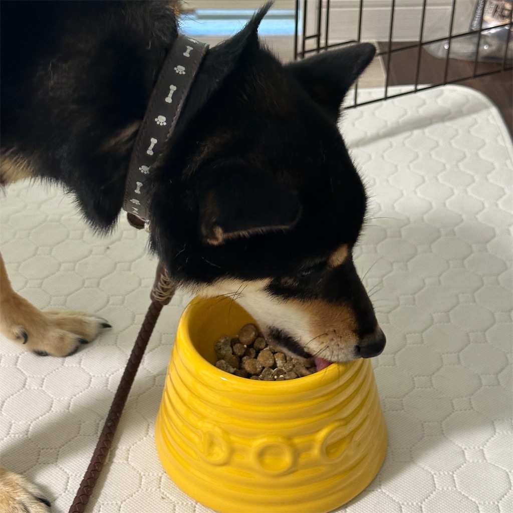 f:id:keikostyle:20241010165808j:image