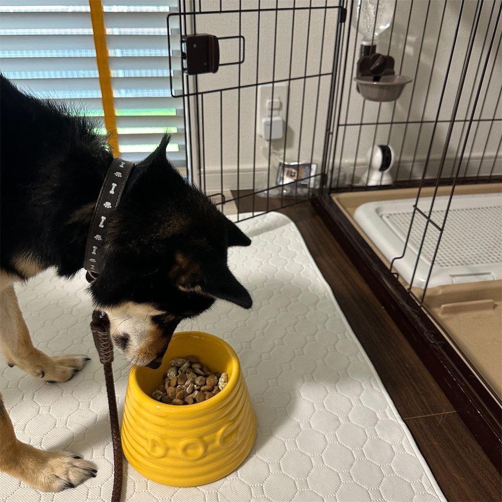 f:id:keikostyle:20241010165811j:image