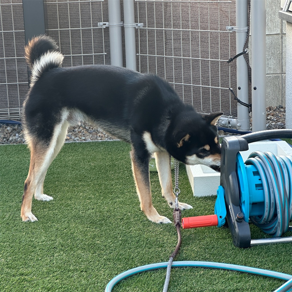 f:id:keikostyle:20241018164957j:image