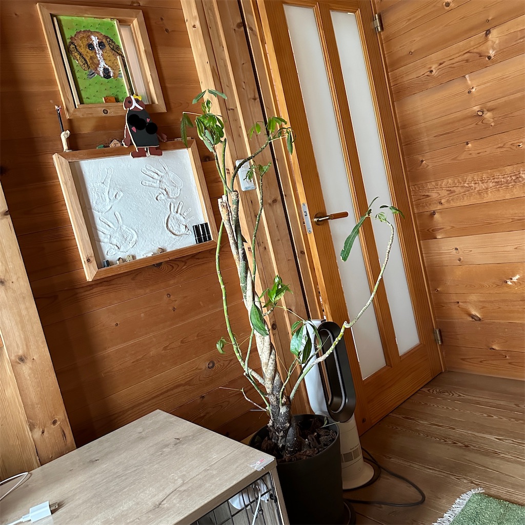 f:id:keikostyle:20241022133619j:image