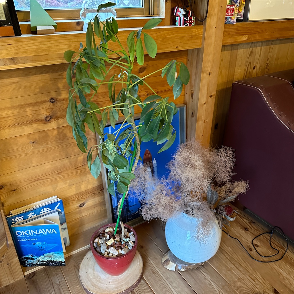 f:id:keikostyle:20241022133636j:image