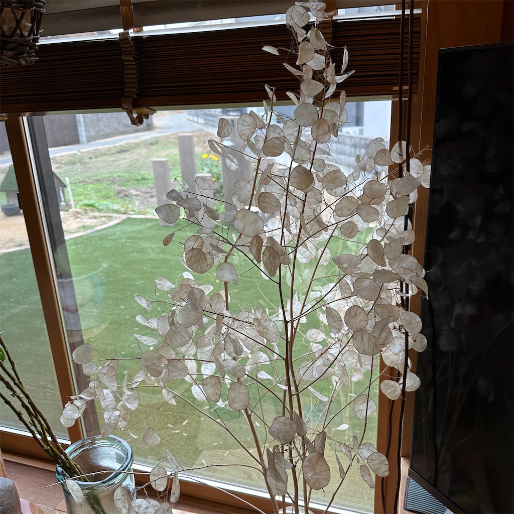 f:id:keikostyle:20241022133640j:image