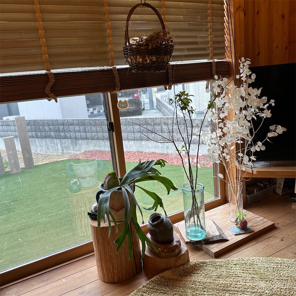 f:id:keikostyle:20241022133643j:image