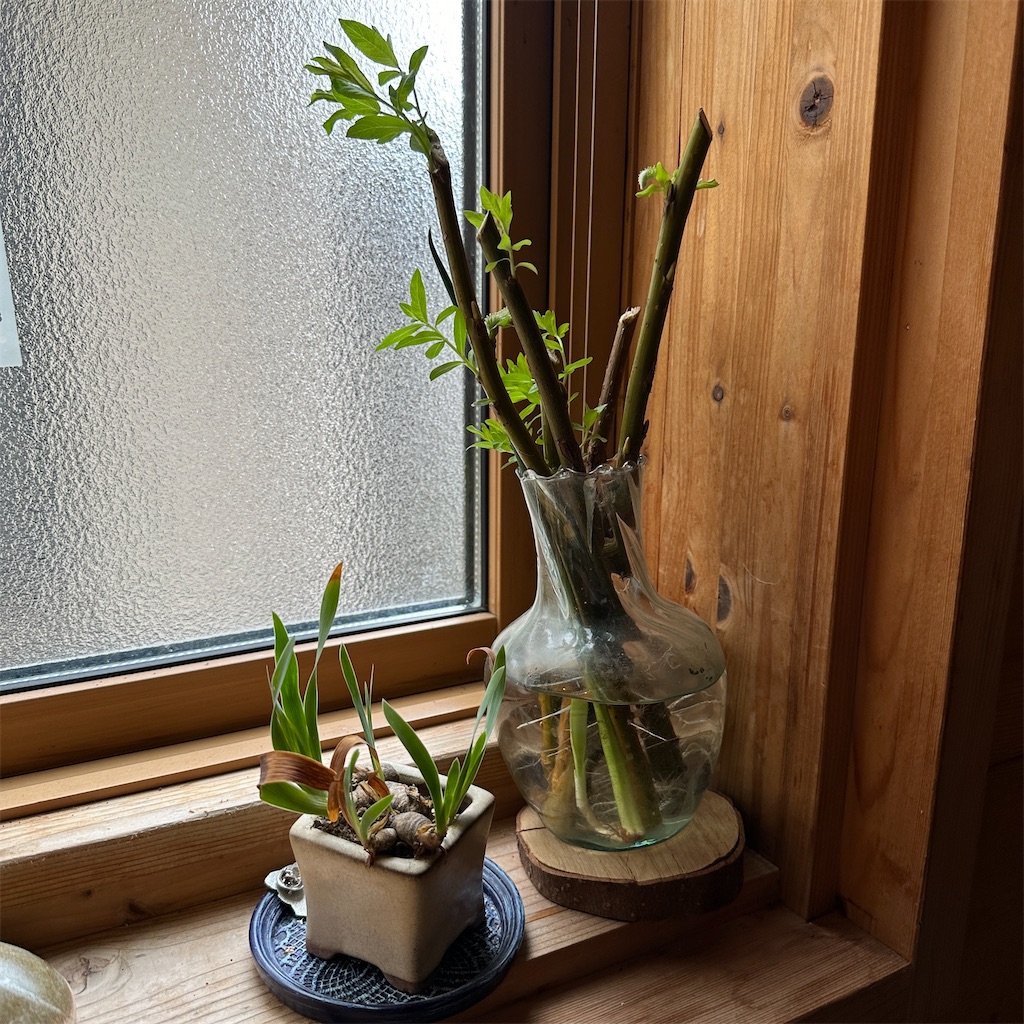 f:id:keikostyle:20241022133647j:image