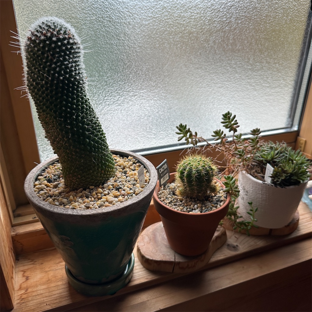 f:id:keikostyle:20241022133653j:image