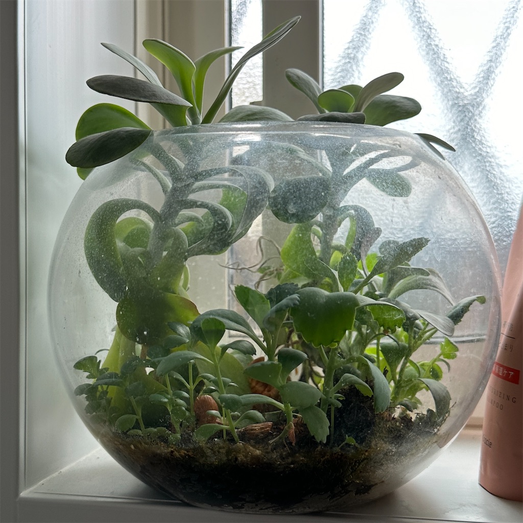 f:id:keikostyle:20241022133656j:image