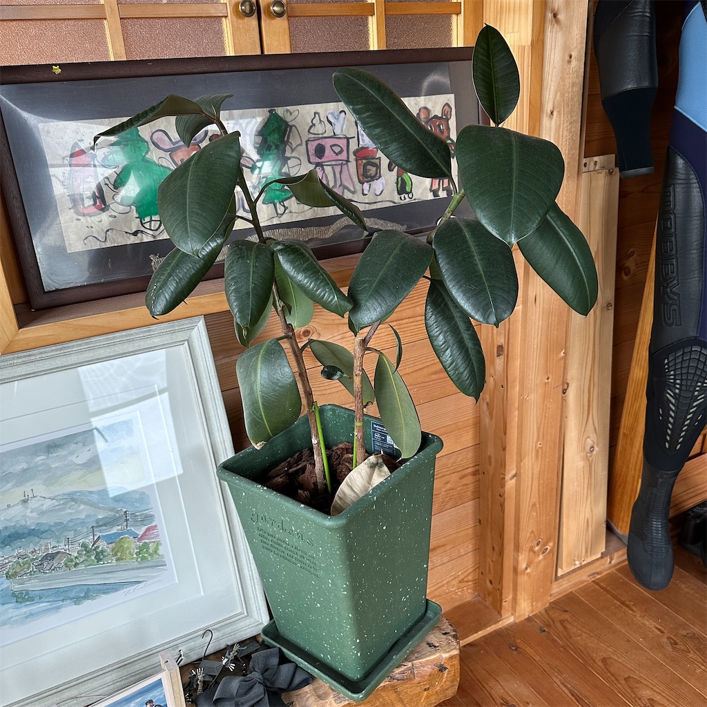 f:id:keikostyle:20241022133659j:image