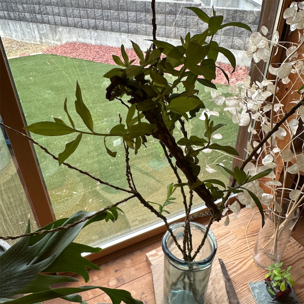 f:id:keikostyle:20241022133709j:image