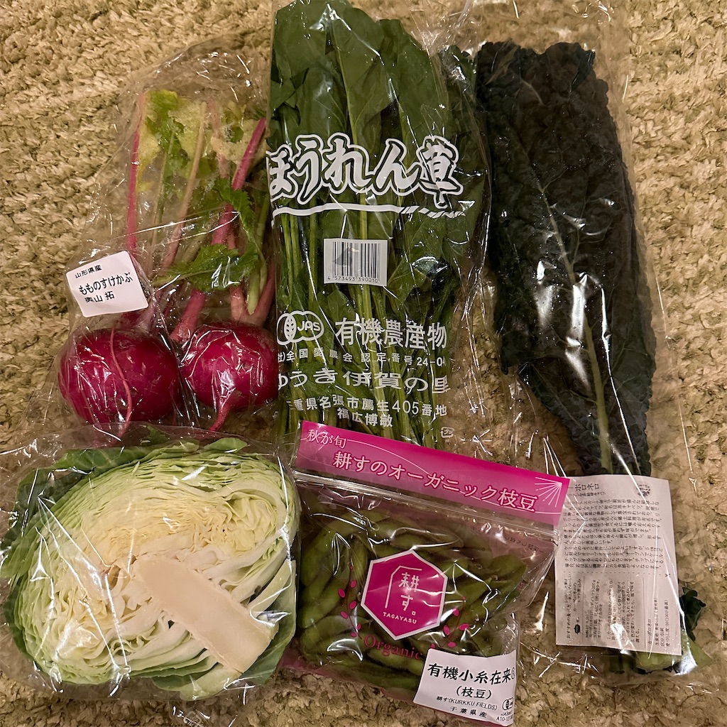 f:id:keikostyle:20241022181236j:image