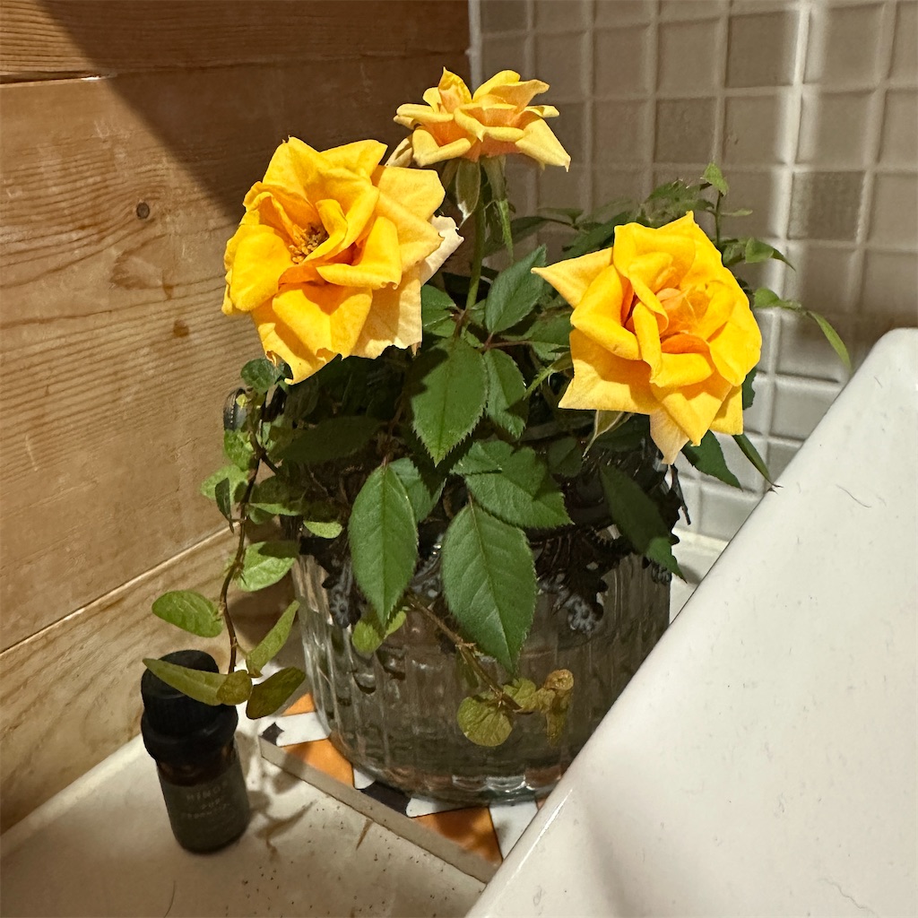 f:id:keikostyle:20241023072256j:image