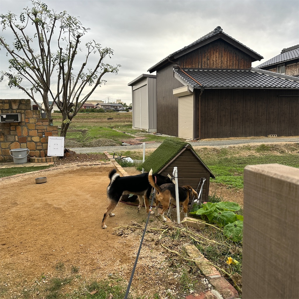 f:id:keikostyle:20241023164717j:image