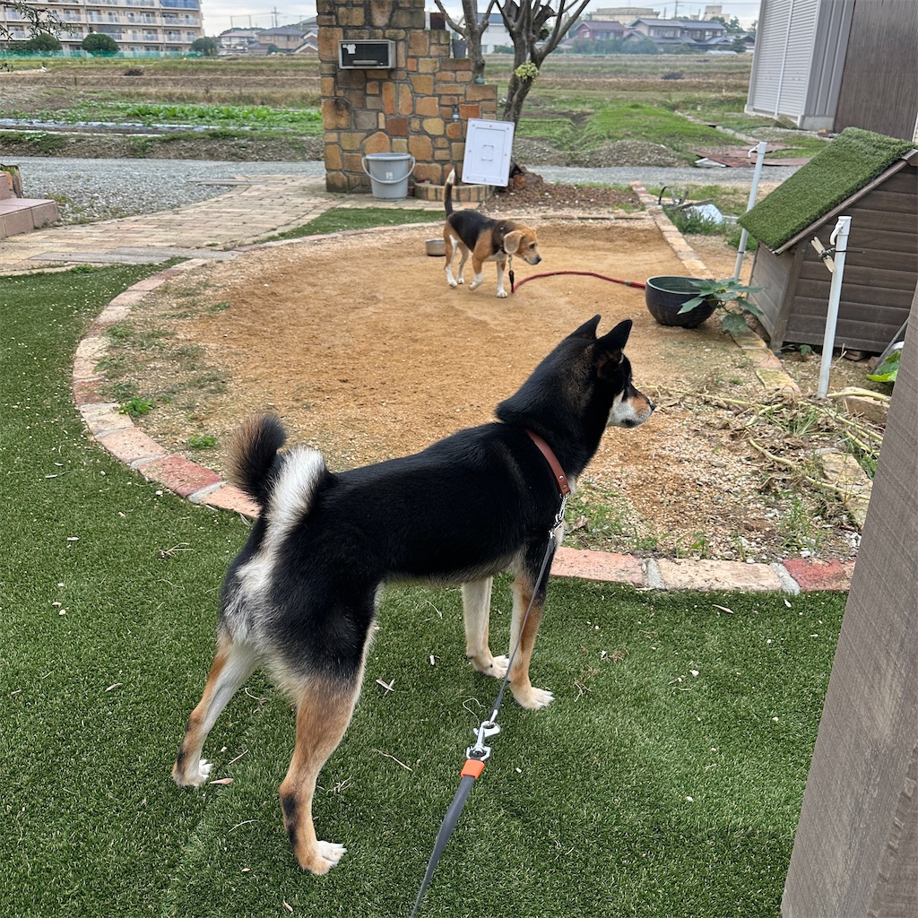 f:id:keikostyle:20241023164734j:image