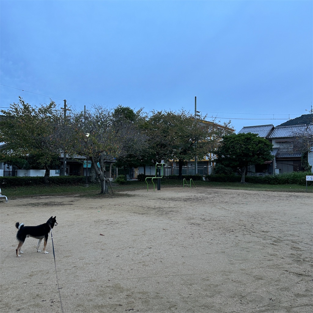 f:id:keikostyle:20241031084619j:image