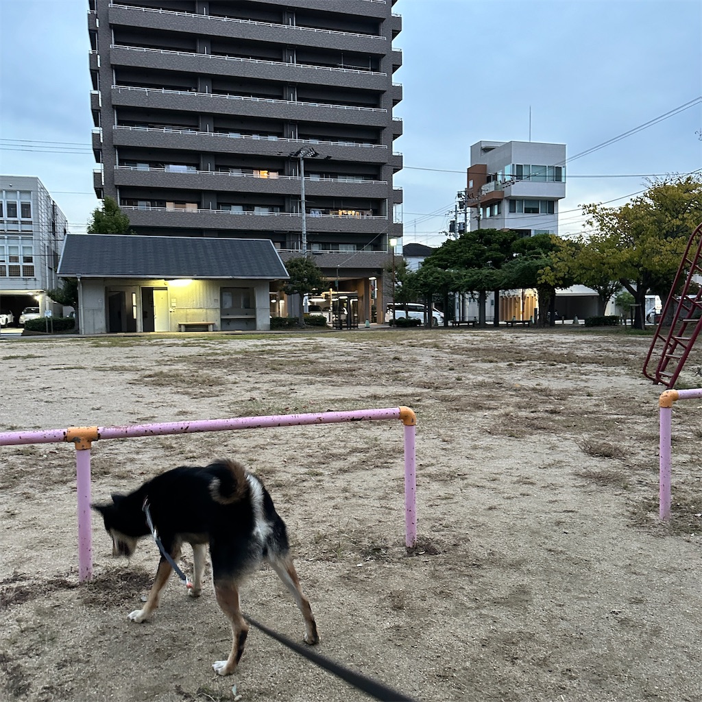 f:id:keikostyle:20241031084631j:image