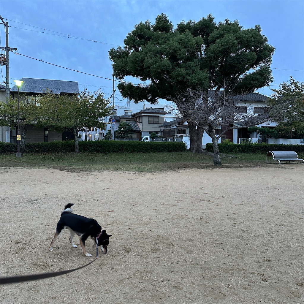 f:id:keikostyle:20241031084635j:image