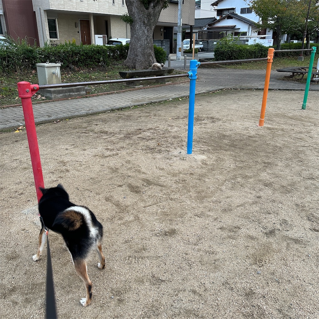 f:id:keikostyle:20241031084639j:image