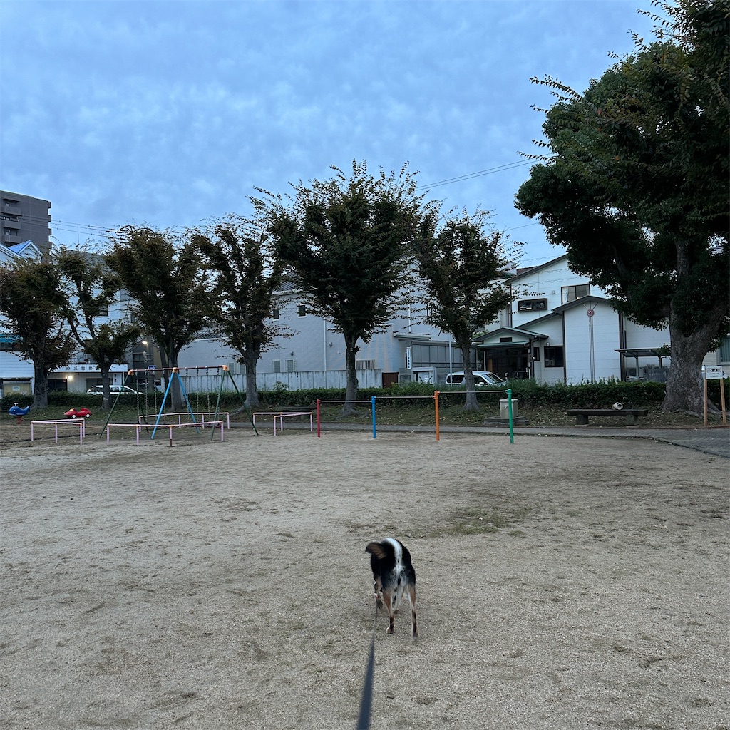 f:id:keikostyle:20241031084651j:image
