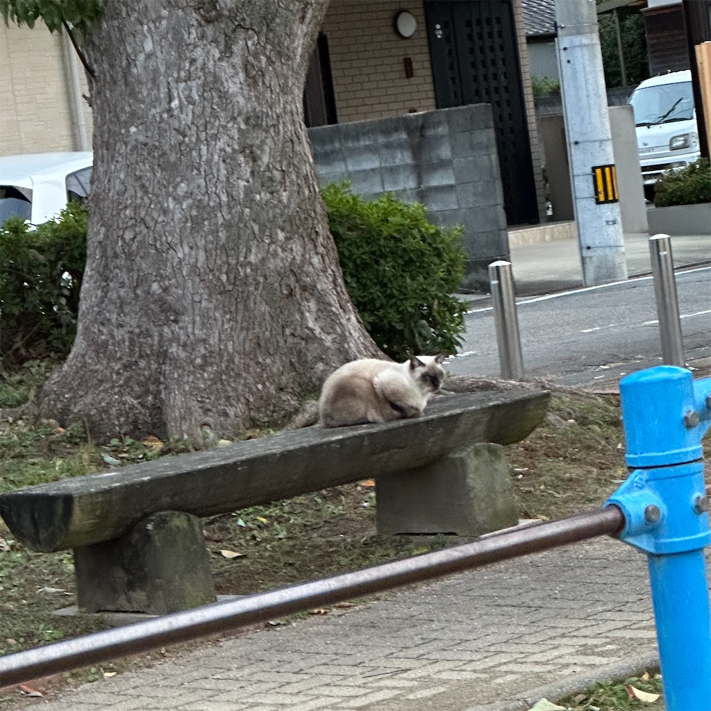 f:id:keikostyle:20241031084756j:image
