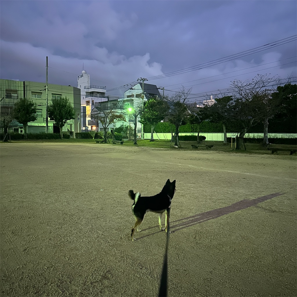 f:id:keikostyle:20241113070222j:image