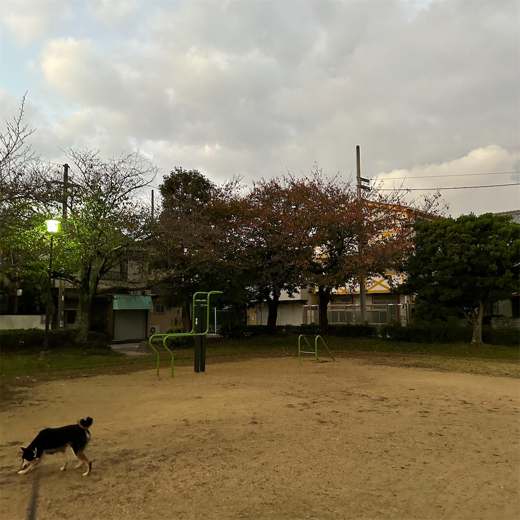 f:id:keikostyle:20241113070230j:image