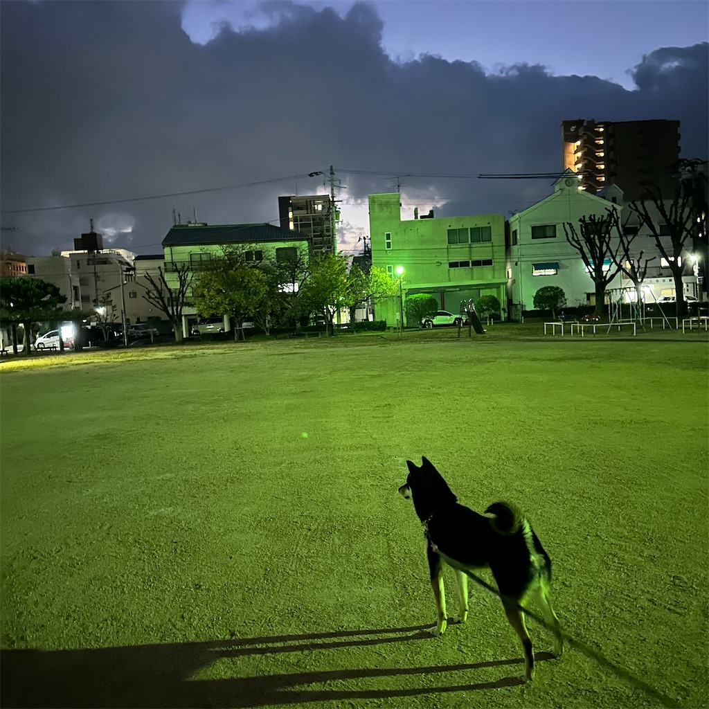 f:id:keikostyle:20241113070256j:image