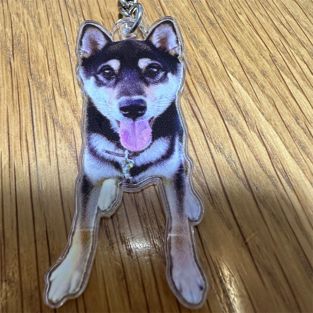 f:id:keikostyle:20241120173224j:image