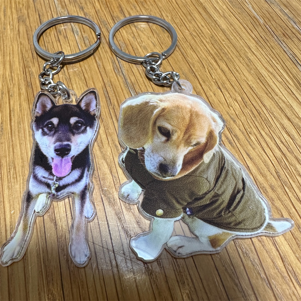 f:id:keikostyle:20241120173228j:image