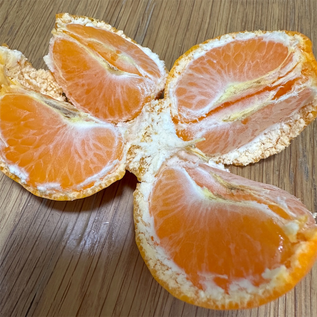 f:id:keikostyle:20241128124504j:image
