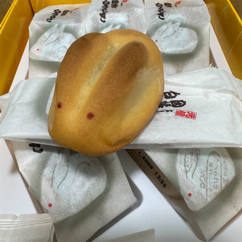 f:id:keikostyle:20241128124634j:image