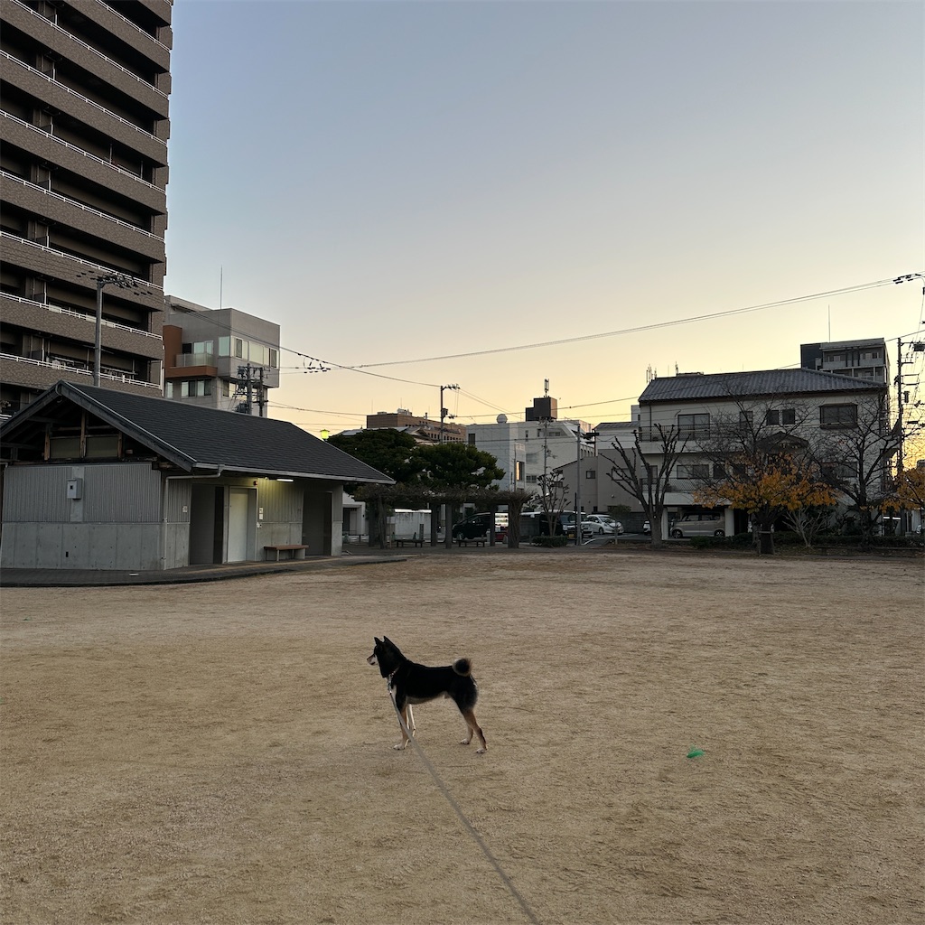 f:id:keikostyle:20241211083125j:image