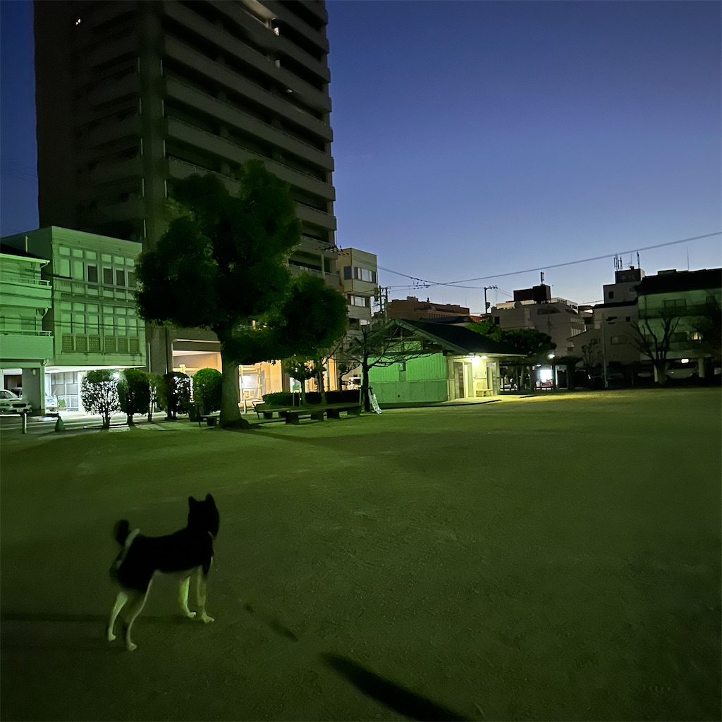 f:id:keikostyle:20241211083129j:image