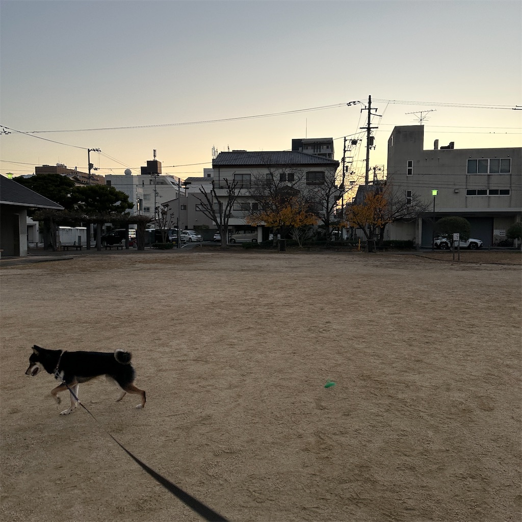 f:id:keikostyle:20241211083133j:image