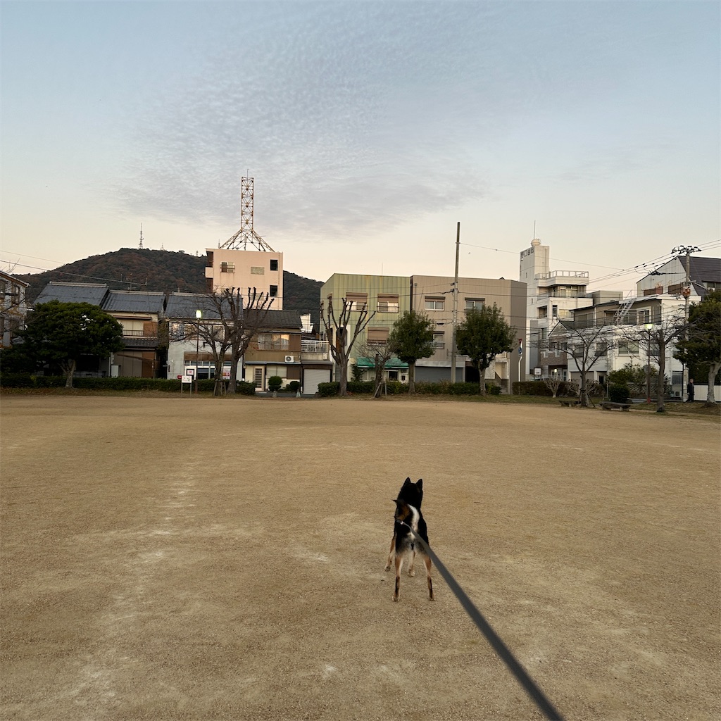 f:id:keikostyle:20241211083137j:image