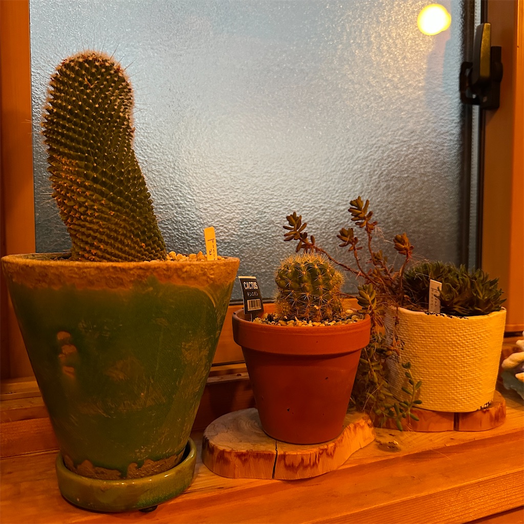 f:id:keikostyle:20241217180336j:image